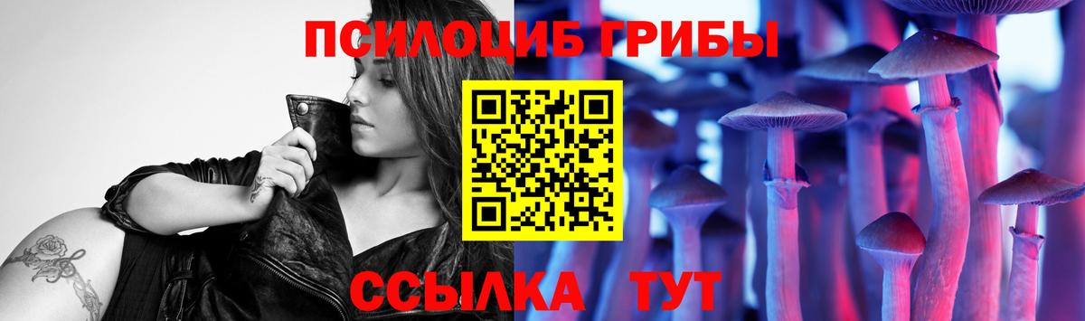 Галлюциногенные грибы Psilocybe  Вход с VPN  где продают   Галлюциногенные грибы Psilocybe  Минеральные Воды 